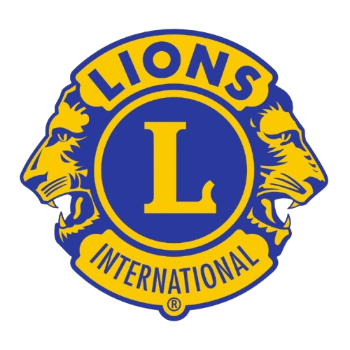 lionsclubdelhiactive.in